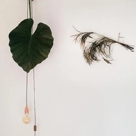 Aburry, Maison Poetique A La Montagne 巴尔居