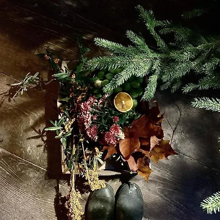 Aburry, Maison Poetique A La Montagne Πανσιόν Barcus