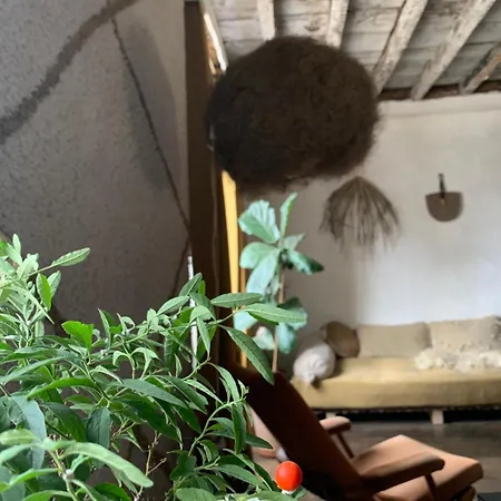Aburry, maison poétique à la montagne Affittacamere *