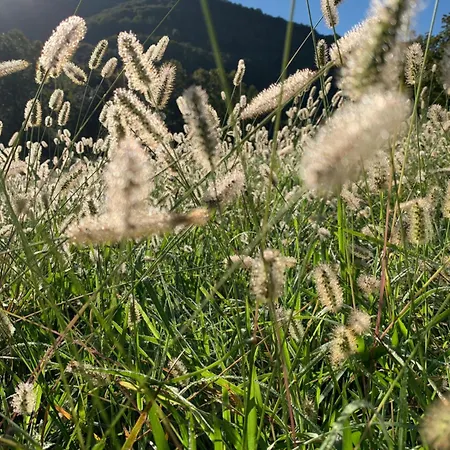 招待所 Aburry, Maison Poetique A La Montagne 巴尔居