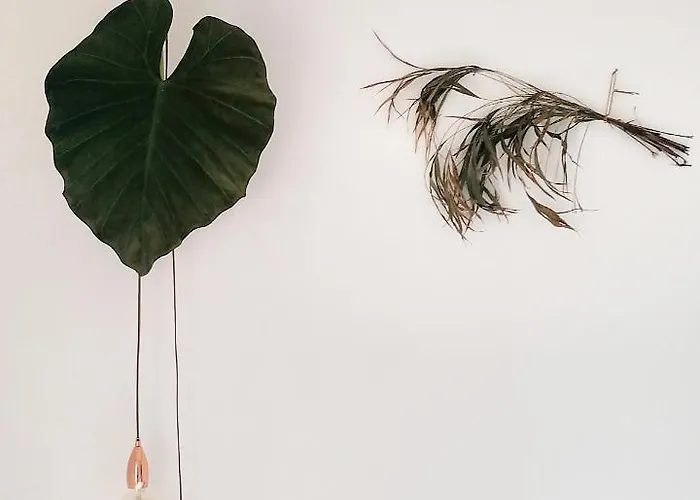 Aburry, Maison Poetique A La Montagne バルキュ