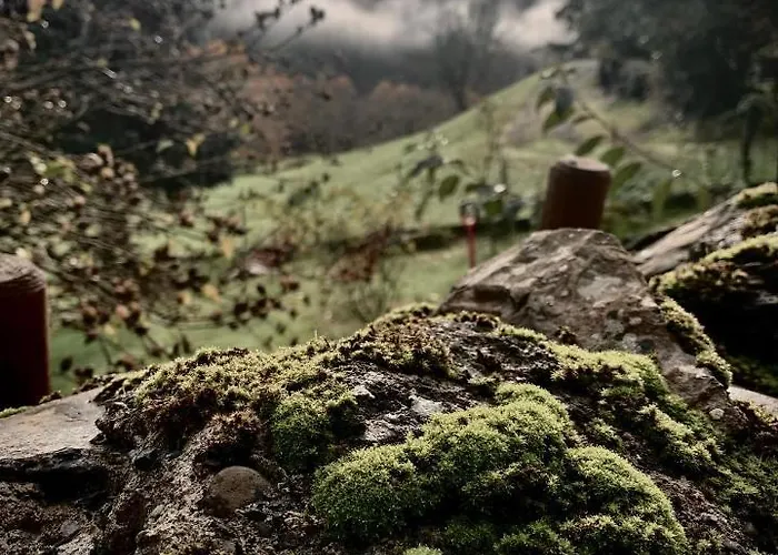 Vendégház Aburry, Maison Poetique A La Montagne *