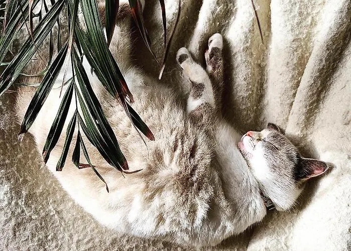 Aburry, Maison Poetique A La Montagne ゲストハウス バルキュ