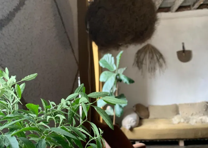 Aburry, Maison Poetique A La Montagne ゲストハウス *