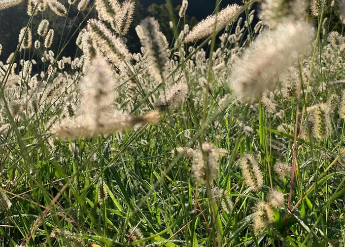 ゲストハウス Aburry, Maison Poetique A La Montagne バルキュ